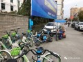 龙港爆料新闻网官网最新,最新动态，聚焦龙港发展热点